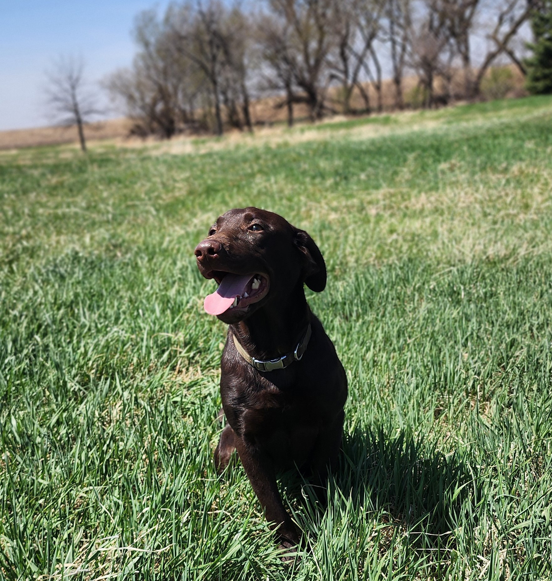 Max